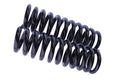 WCS 2" Coil Springs for Toyota Prado 90 Series (1996-2003) [0-55kg]