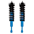Assemble Struts - Pair (for Quick Installation)